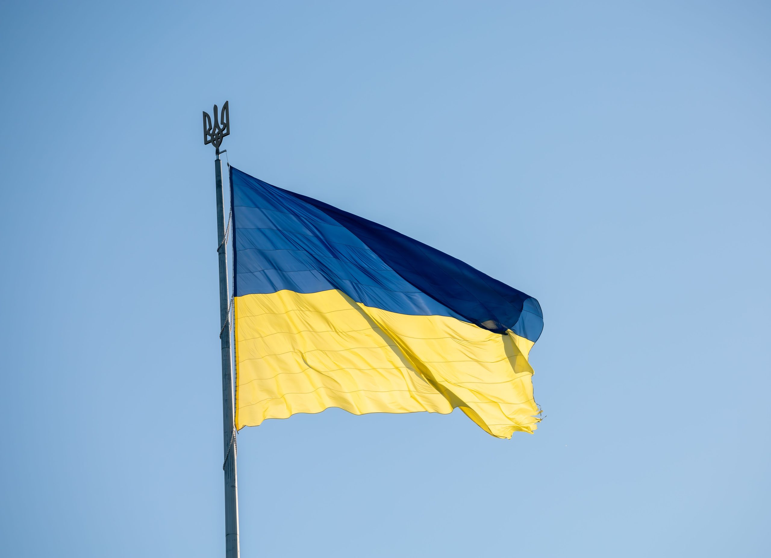 Photo by Яна Леоненко via Pexels