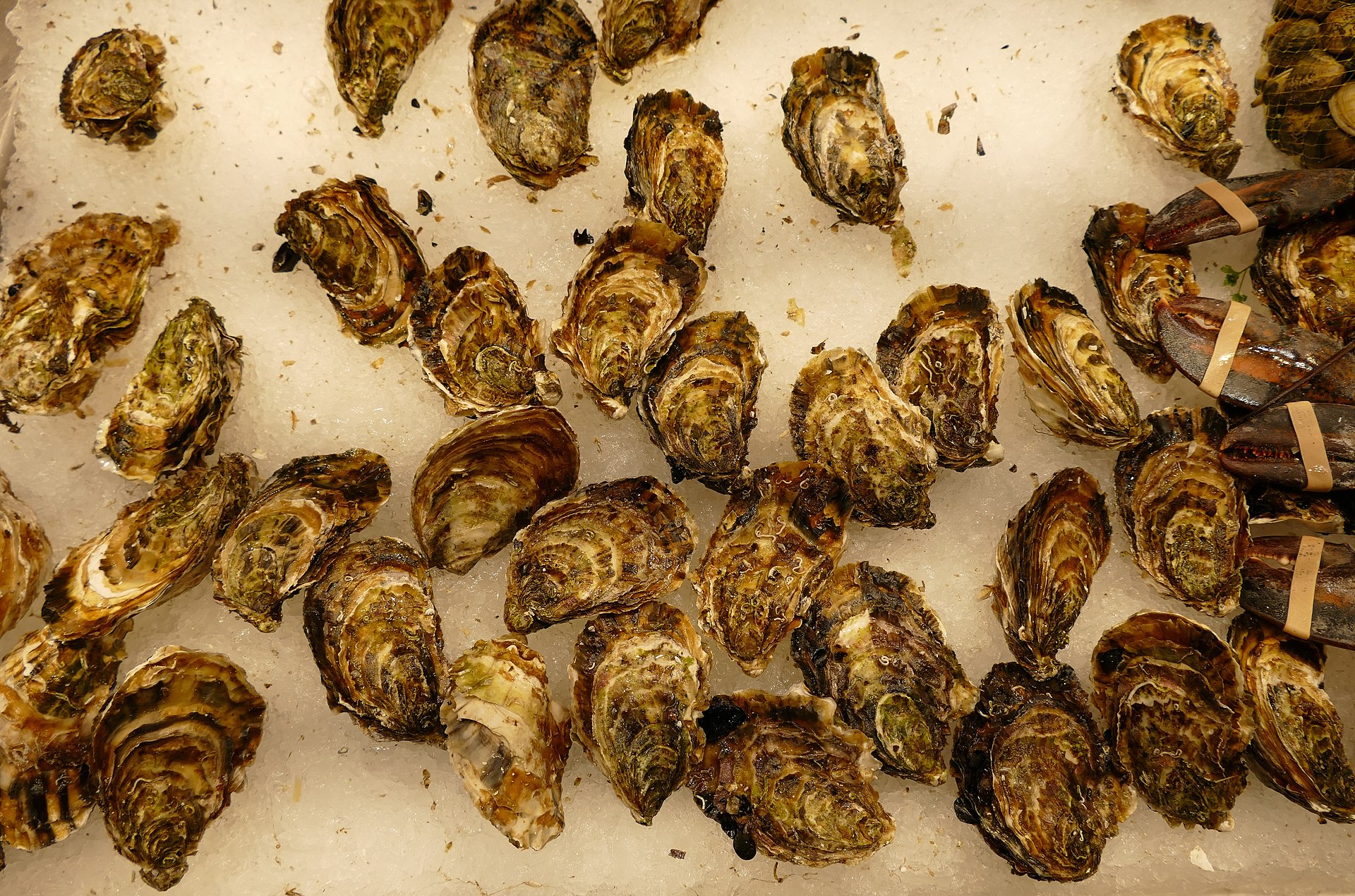 Oysters for sale at Mercat de la Boqueria