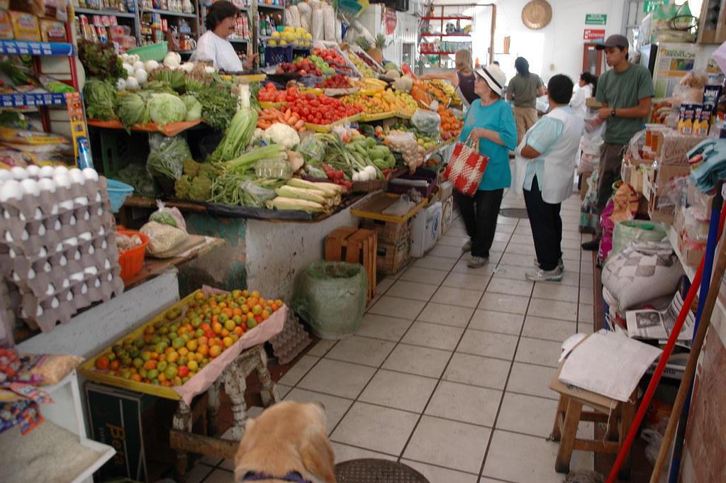 People grocery shopping at the local neighborhood market, fresh produce, eggs, and Breda the dog, Zona Centro, Guadalajara, Mexico