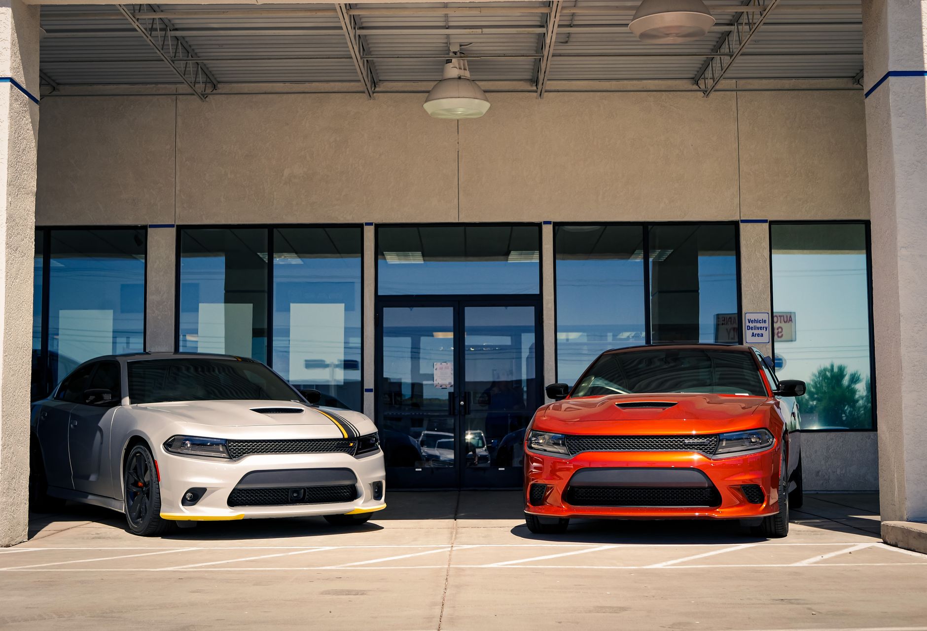Two Dodge muscle cars parked outside a modern urban dealership entrance.