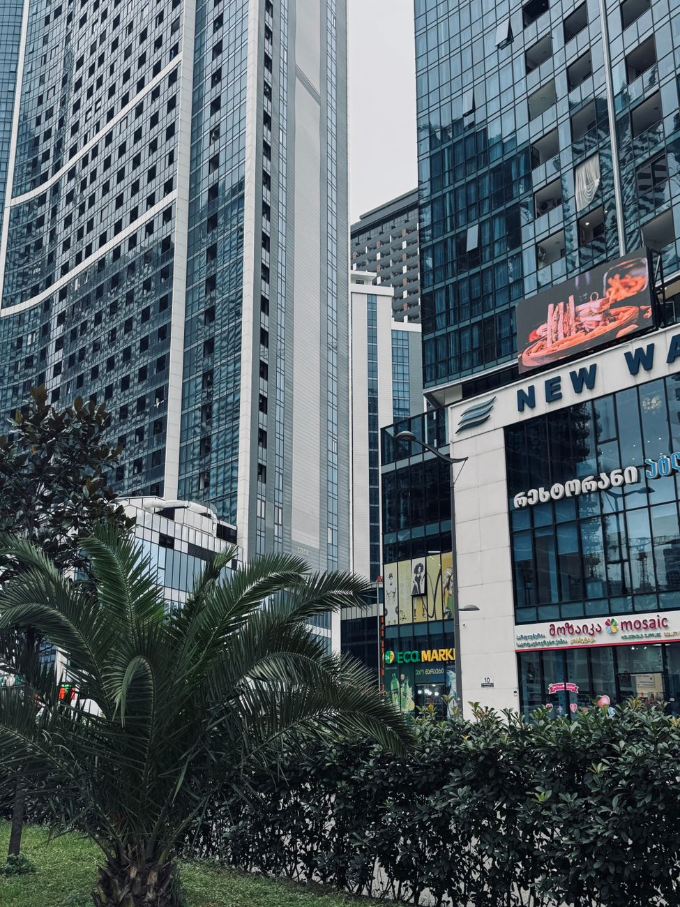View of tall modern skyscrapers in an urban cityscape with greenery.