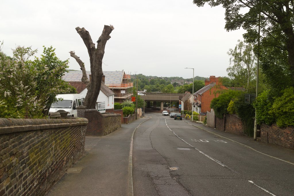 Pollarded tree, Birkdale Residential Home geograph.org.uk 6189036