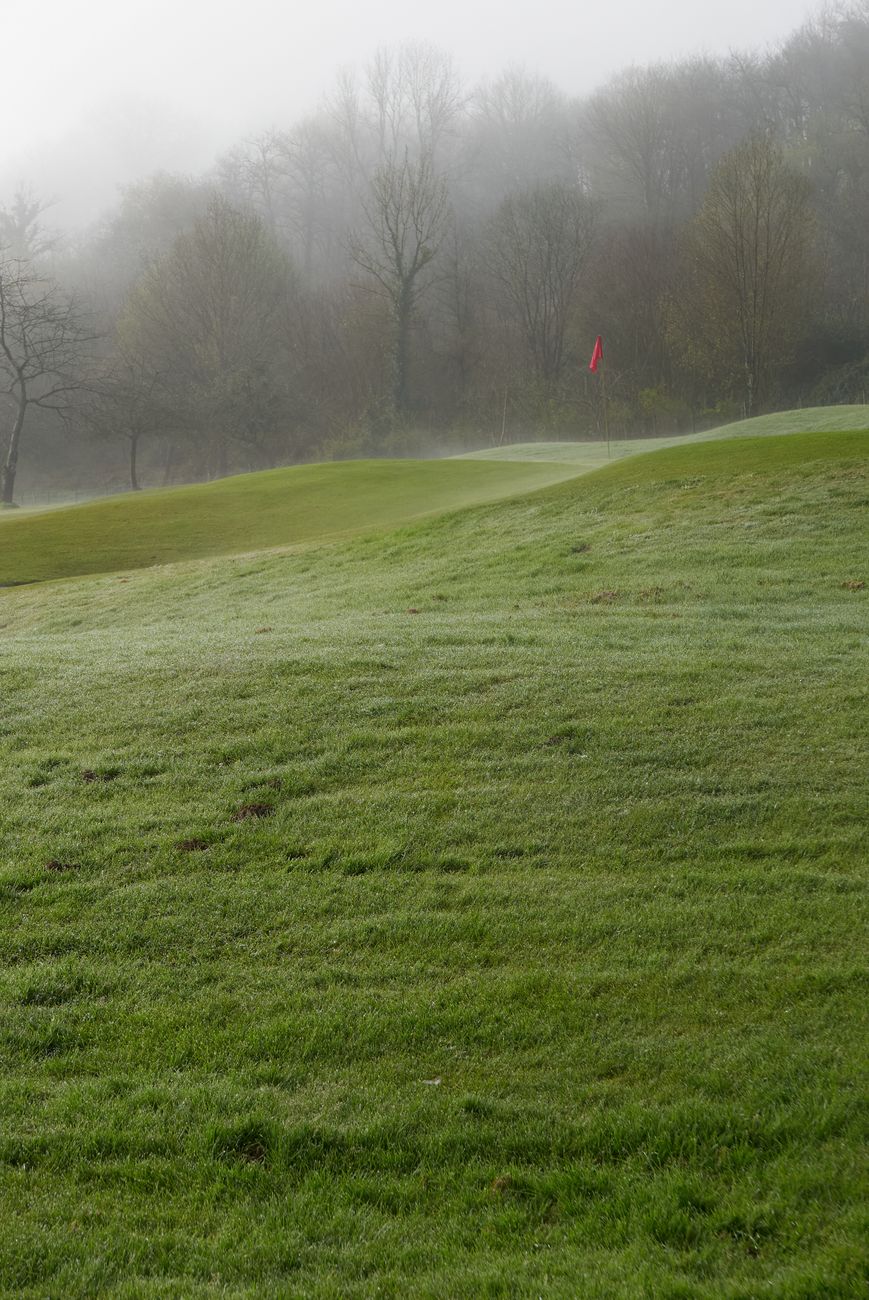 A serene misty morning view of a golf course surrounded by lush greenery and trees.
