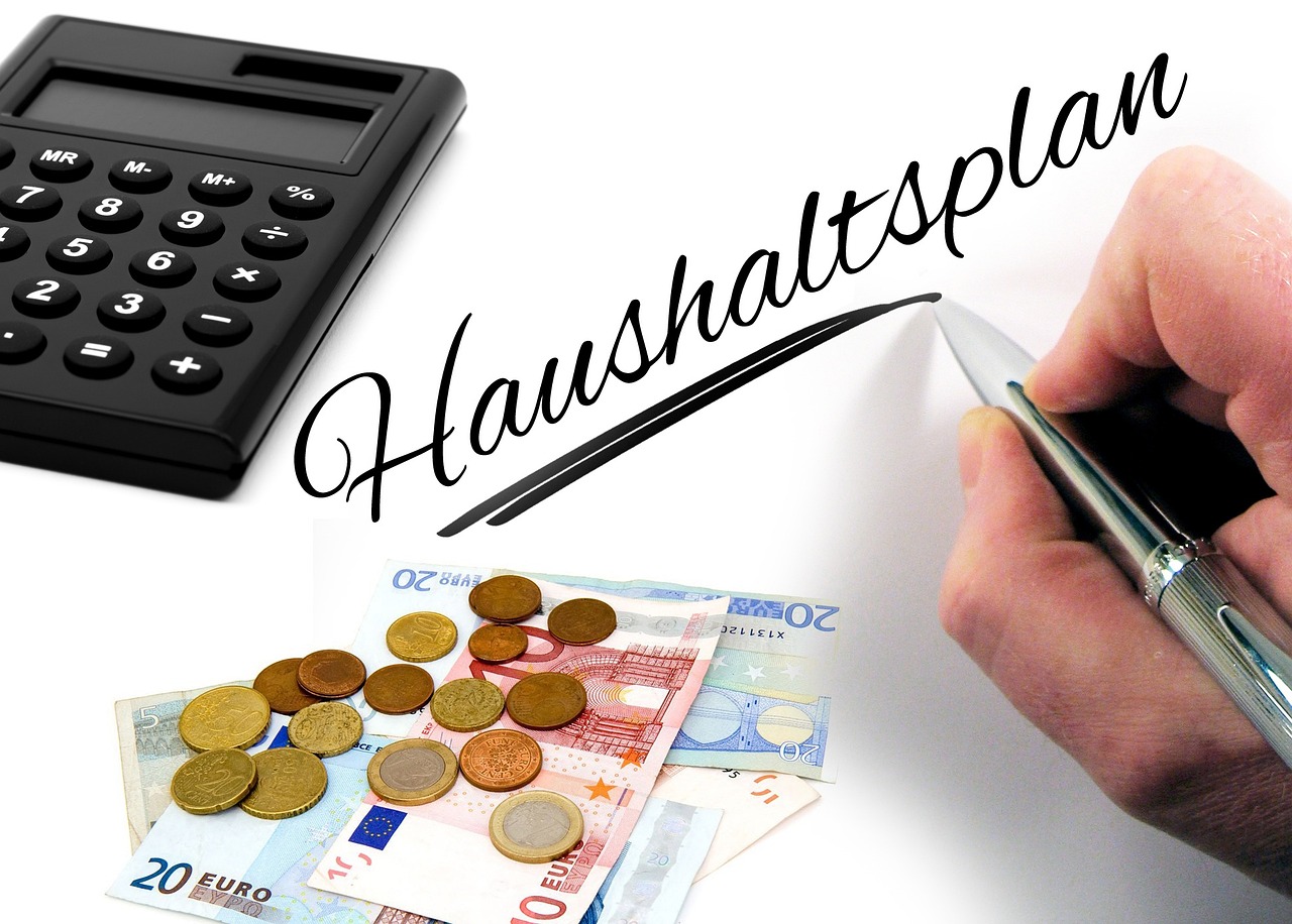 budget, calculator, hand, ballpoint pen, euro, coins, calculate, household, come out, income