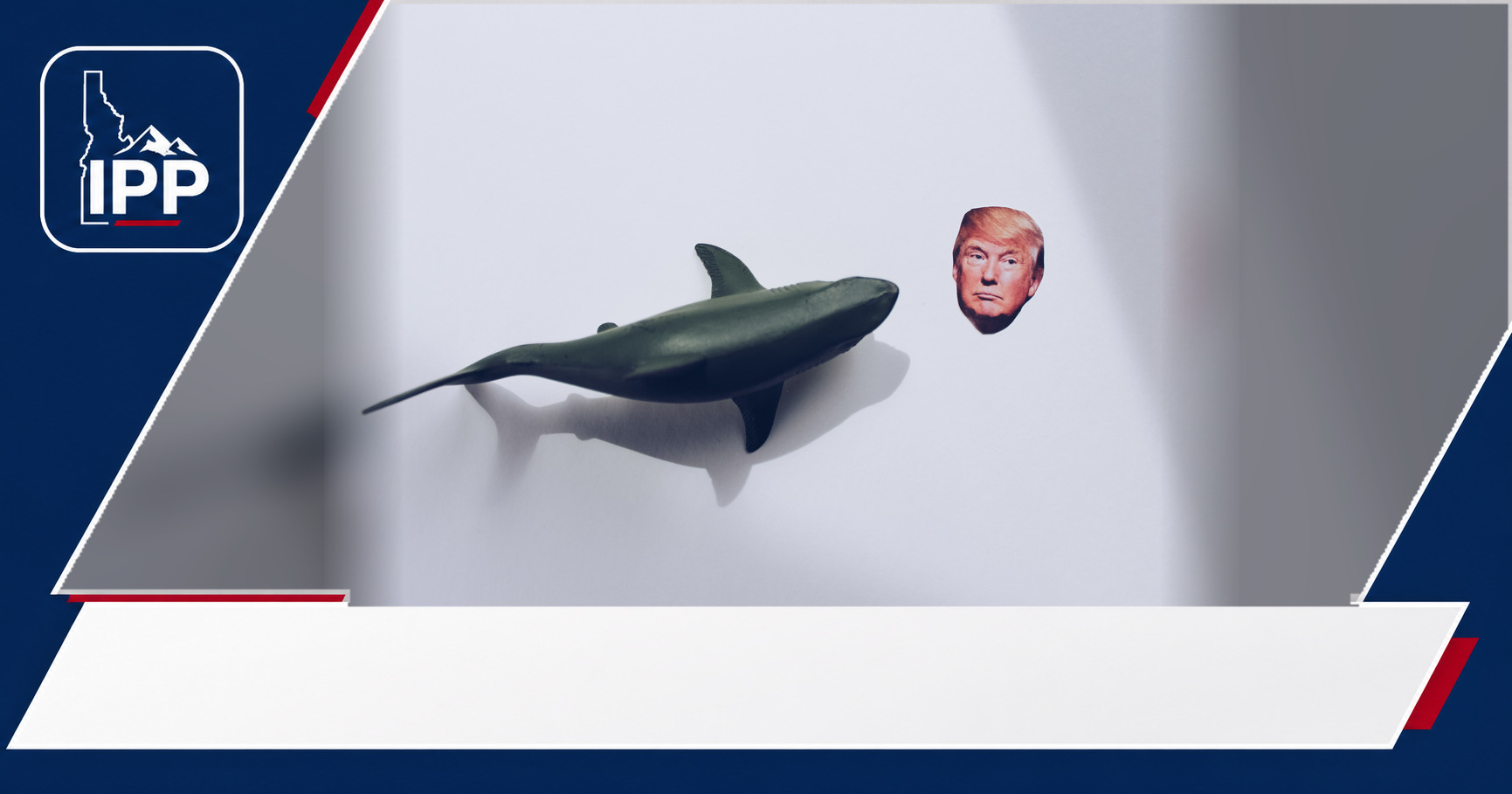 Trump featured editorial graphic