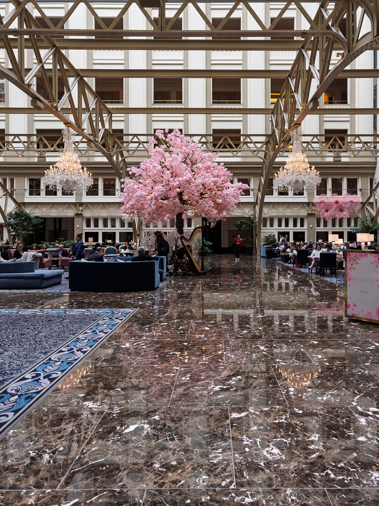 Waldorf Astoria Washington DC – Grand Lobby with Cherry Blossom Installation