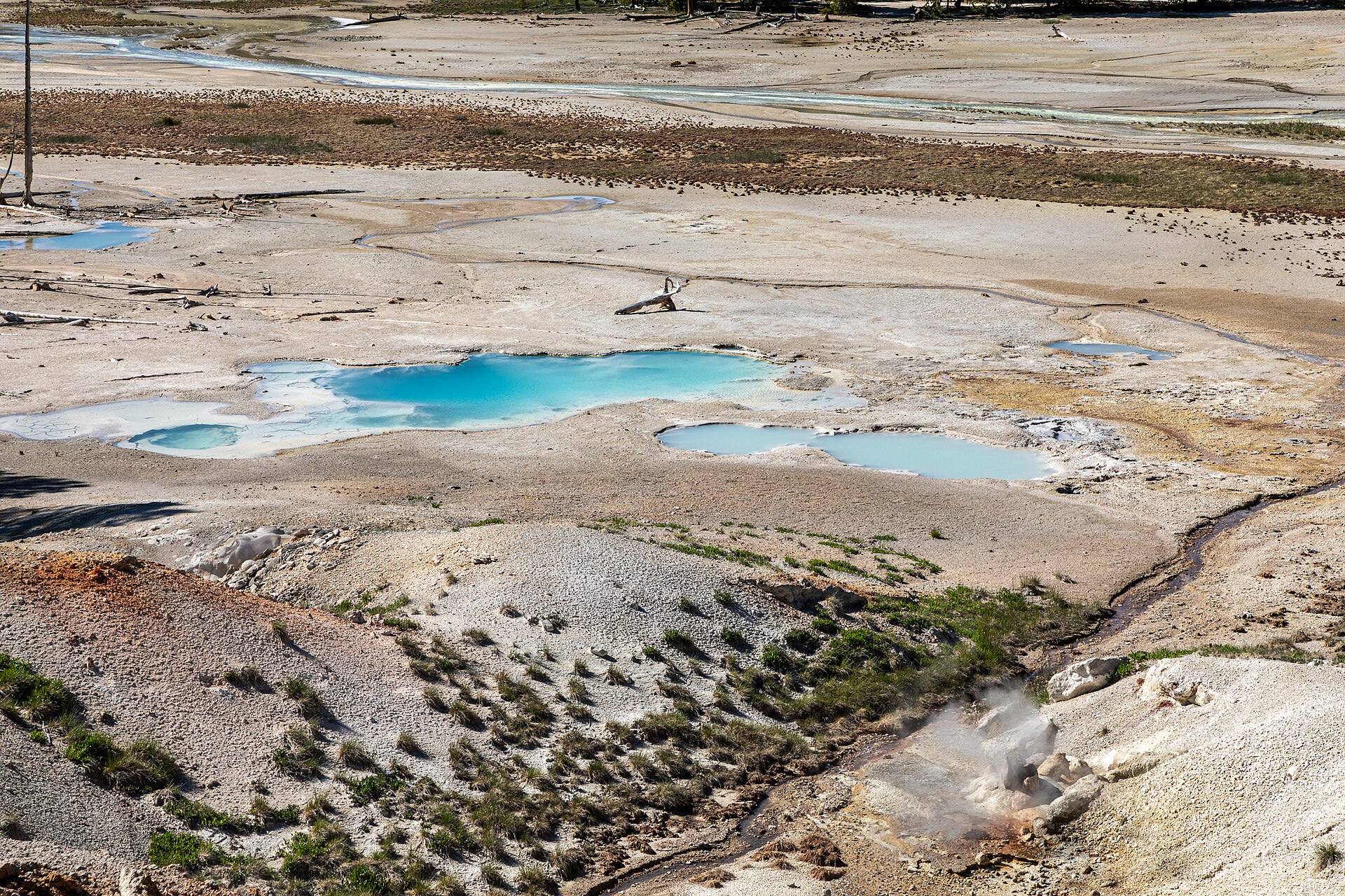 Yellowstone National Park (WY, USA), Norris Geyser Basin 2022 2682