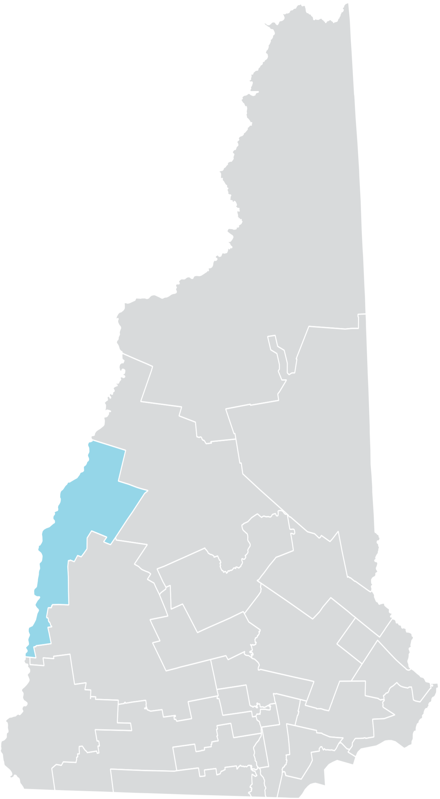 New Hampshire Senate District 5 (2010)
