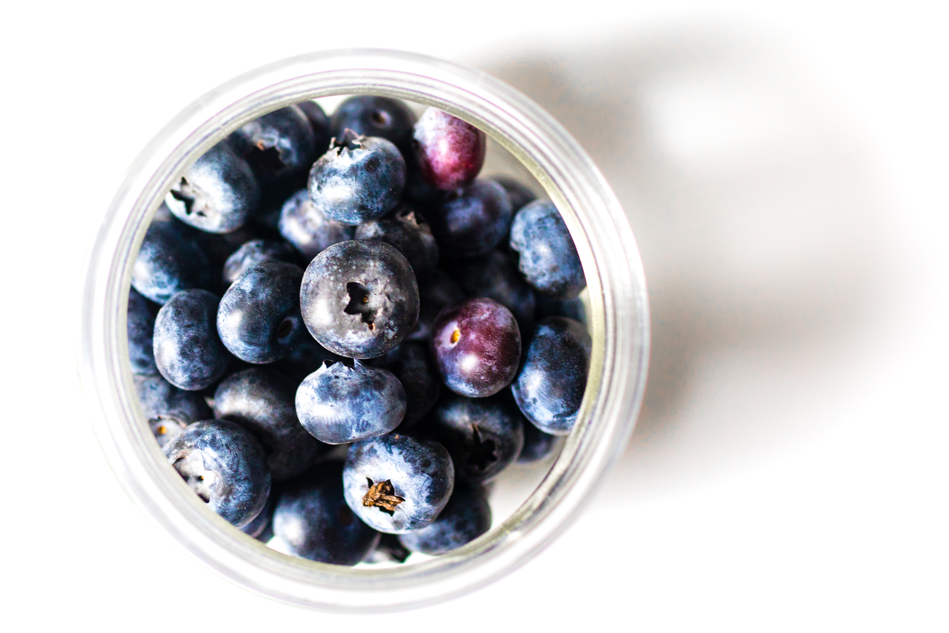 Fresh blueberries (49901958521)