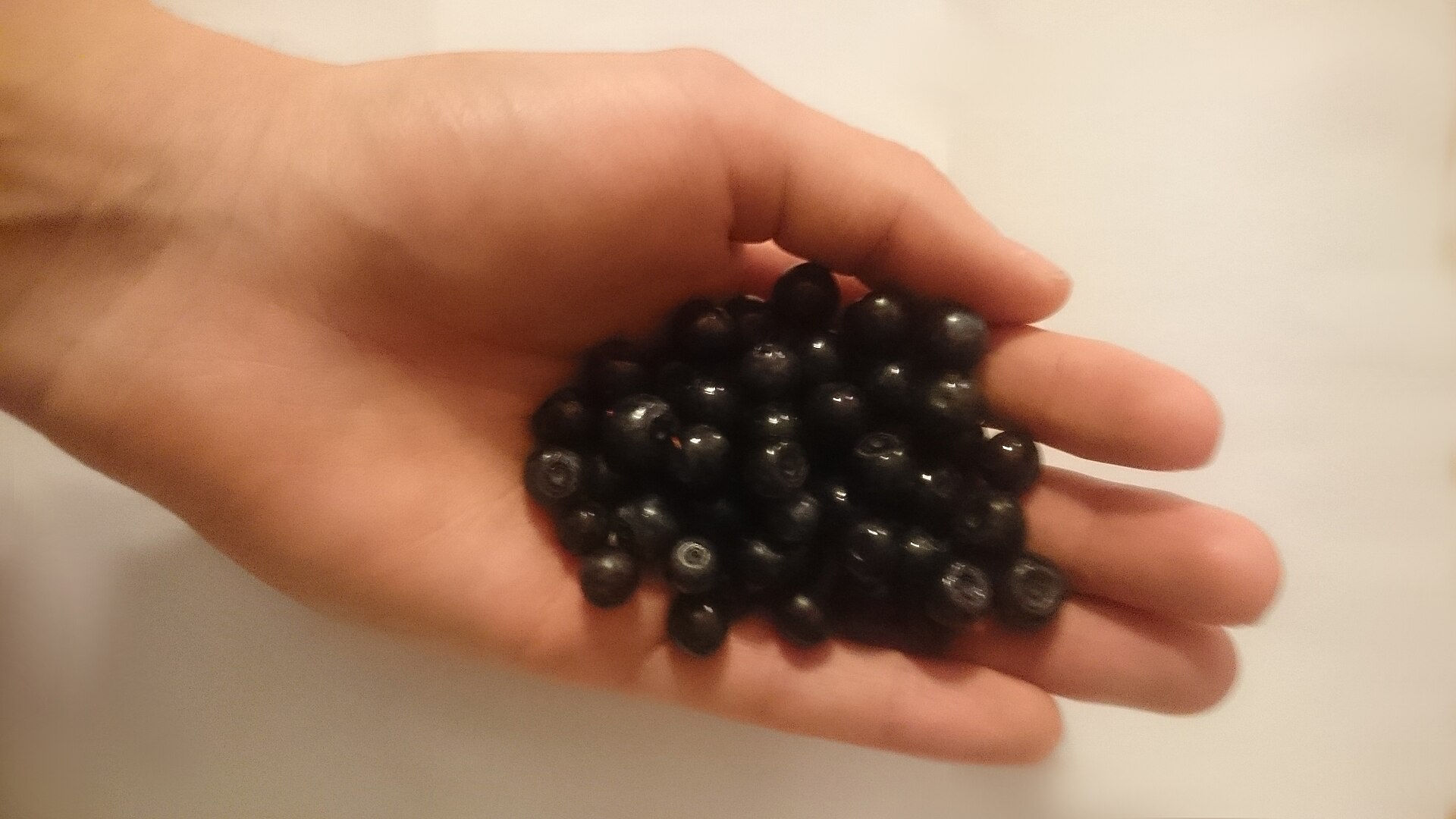 Fresh blueberries on hand
