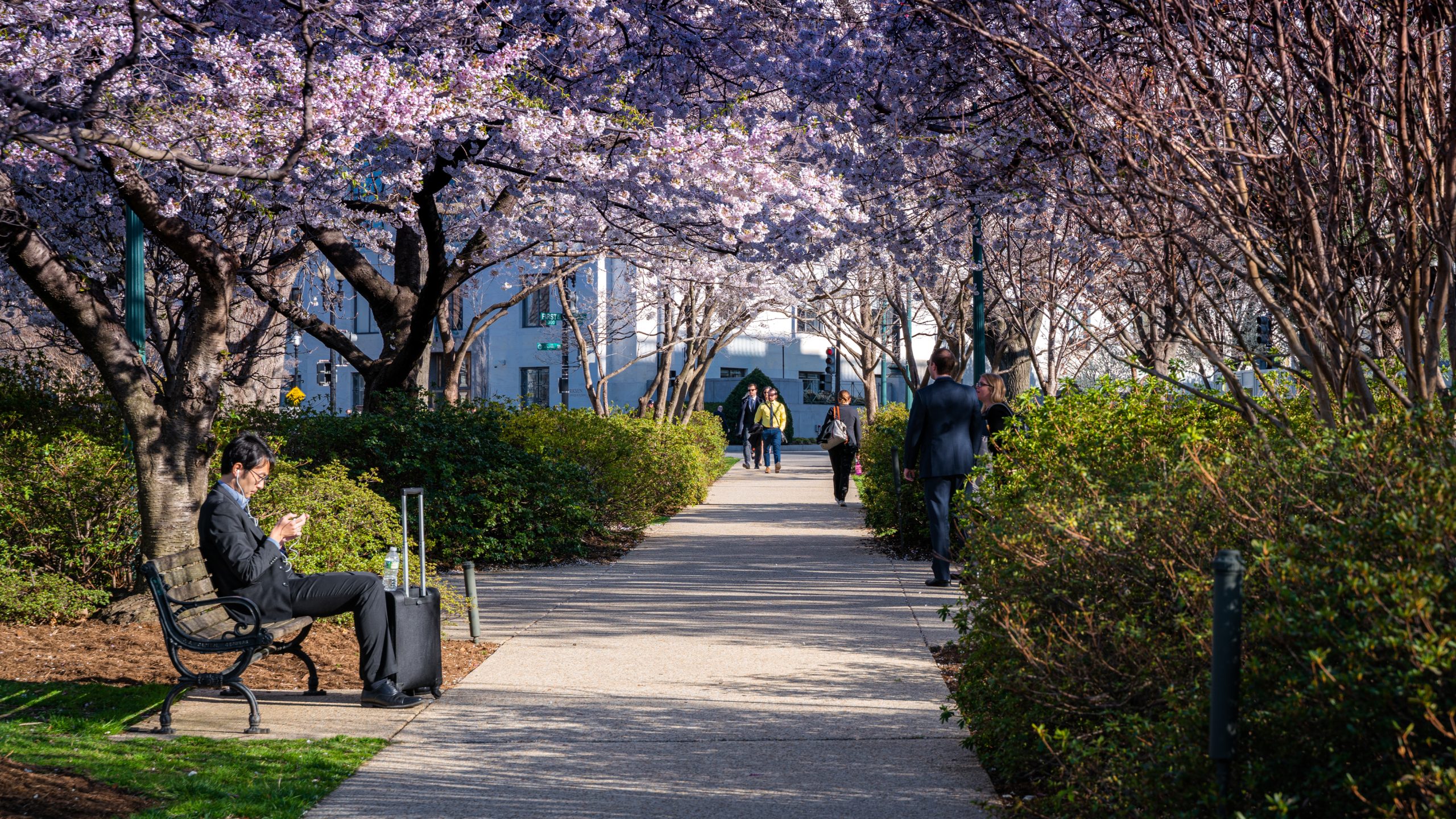 Lower Senate Park
