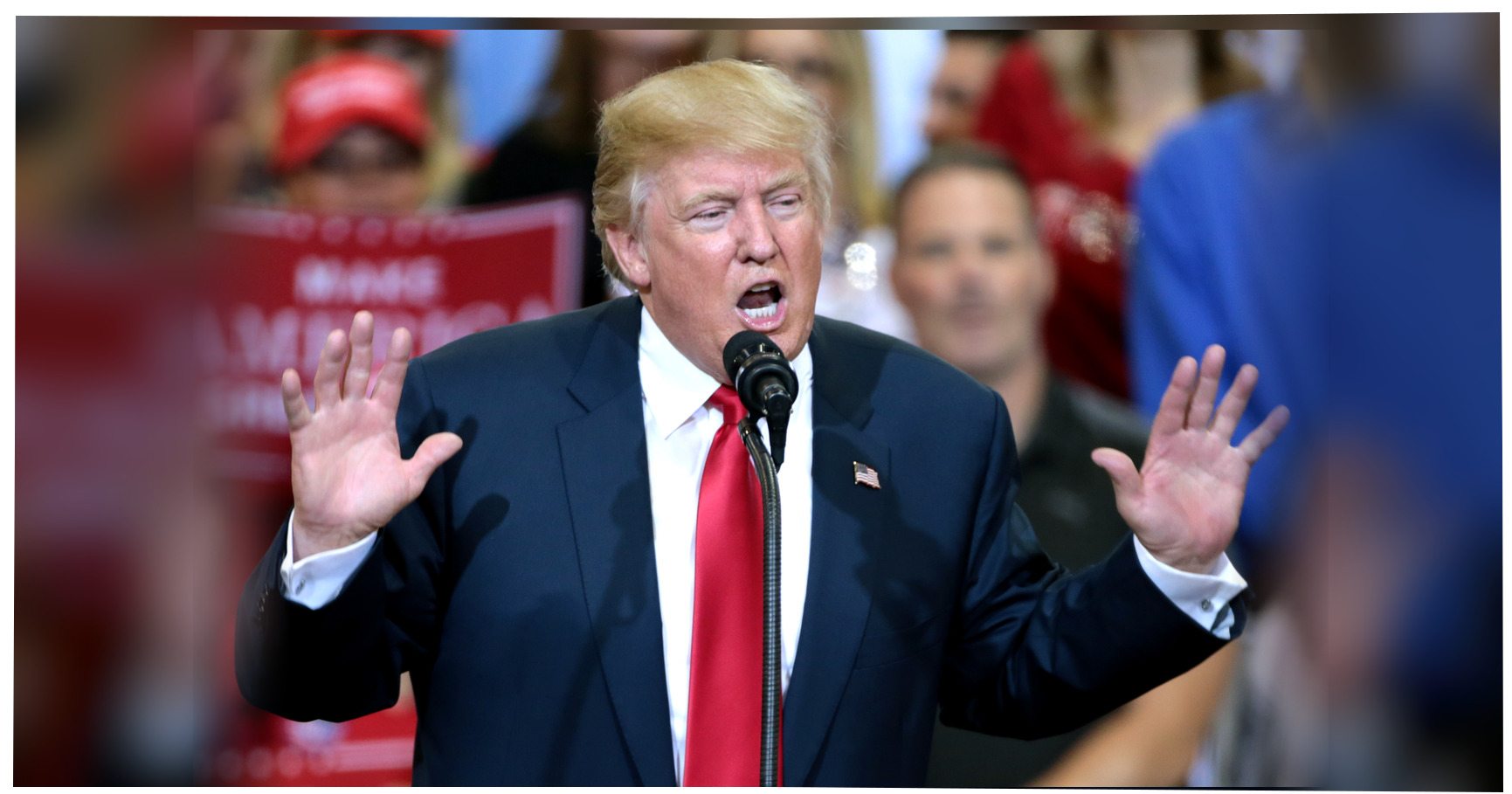 Donald Trump featured editorial graphic