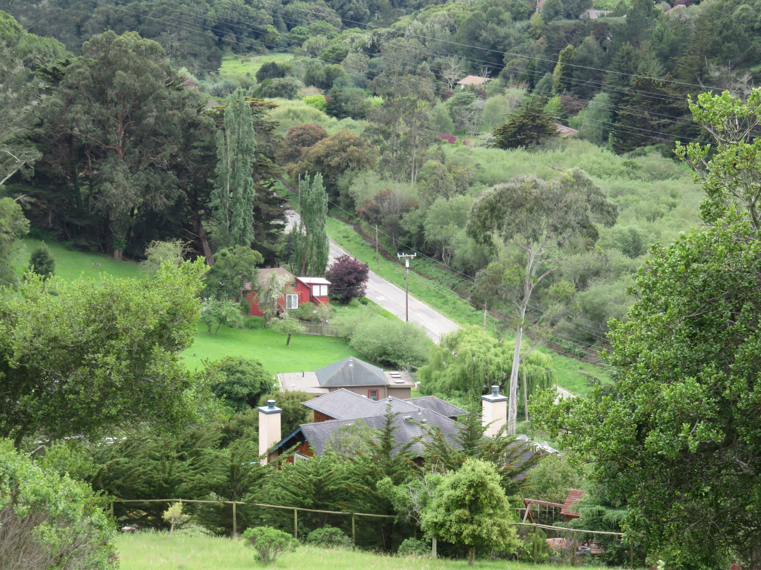 Fernwood Cemetery